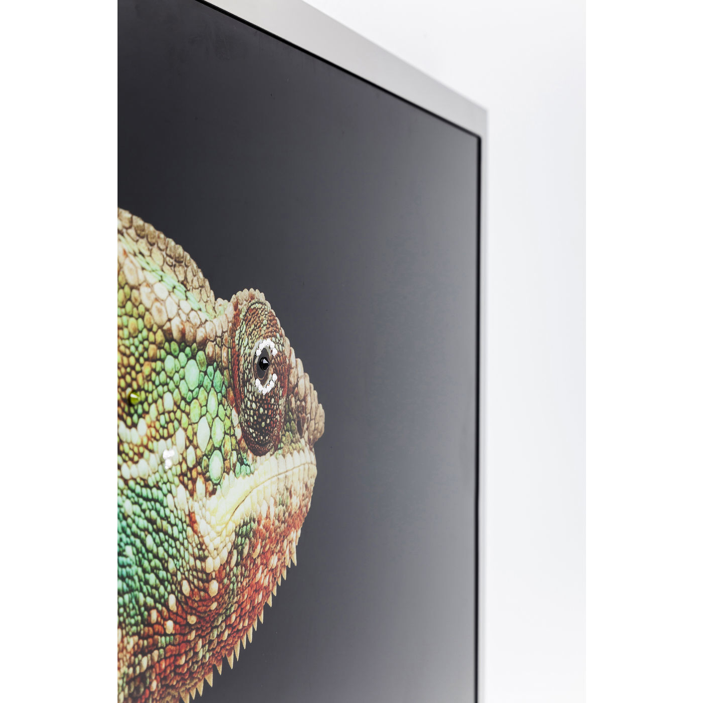 Украшение настенное Chameleon 38193 KARE
