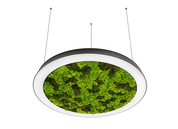 Подвесной светодиодный светильник Donolux DL800S72NW Moss Black