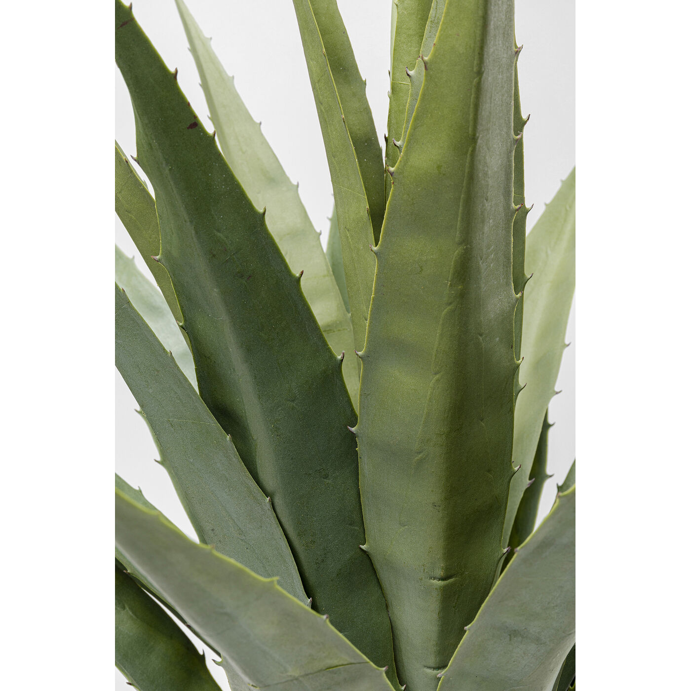 Растение декоративное Agave 85 см KARE 55915
