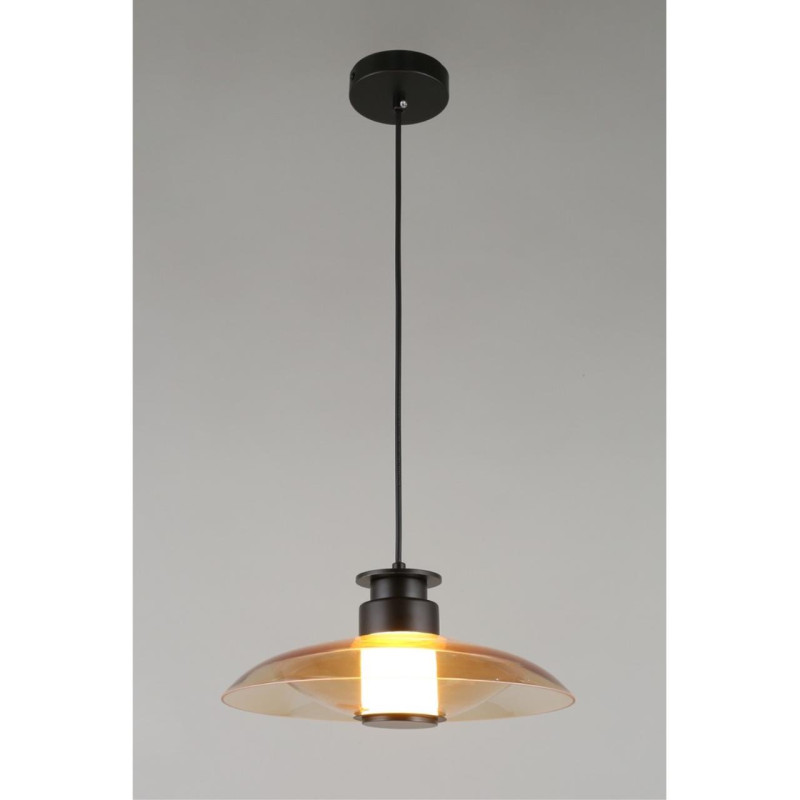 Подвесной светильник APLOYT APL.648.16.10