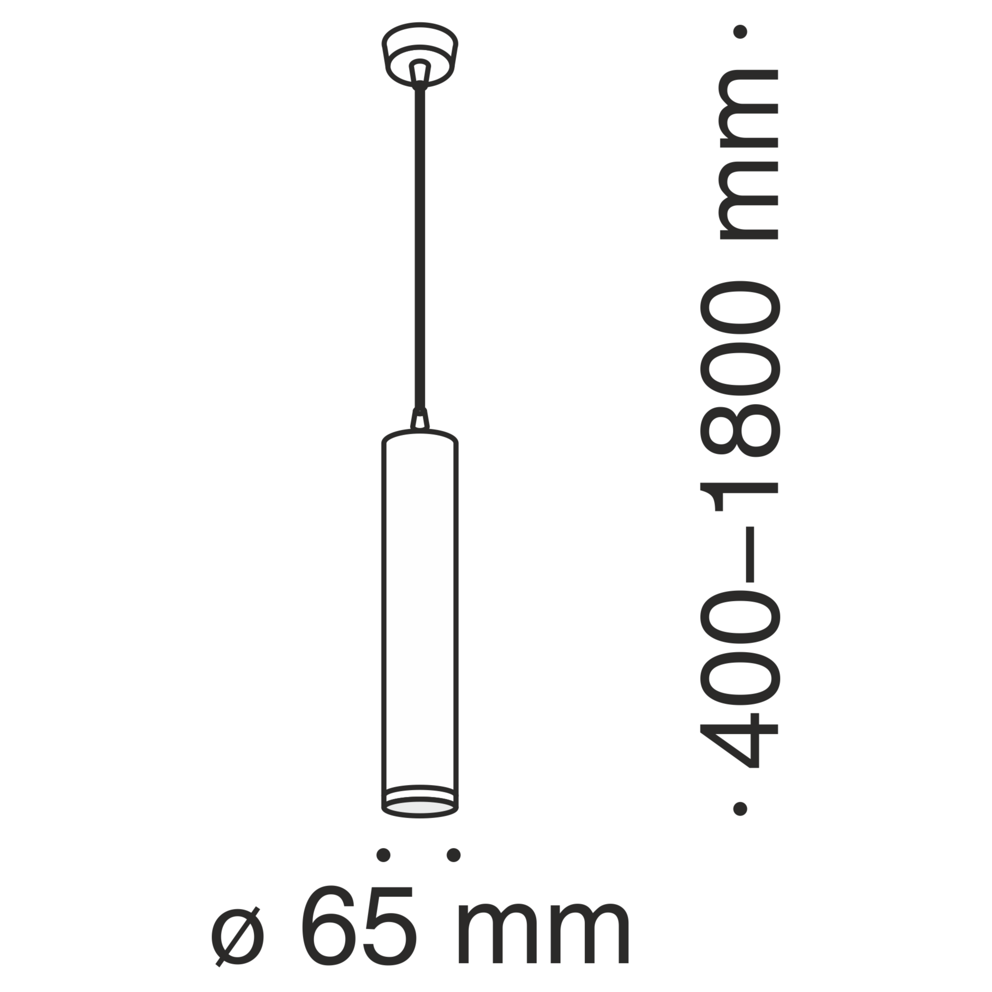 Подвесной светильник Maytoni P020PL-01S