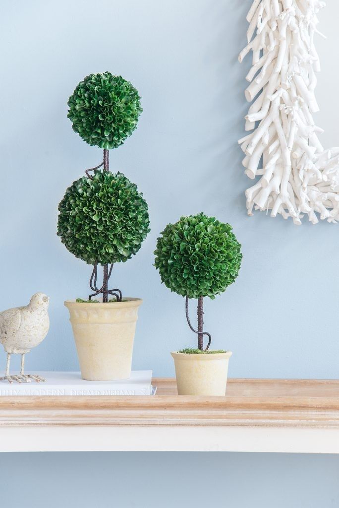 Растение декоративное Самшит двухярусный Glasar 29392-DS