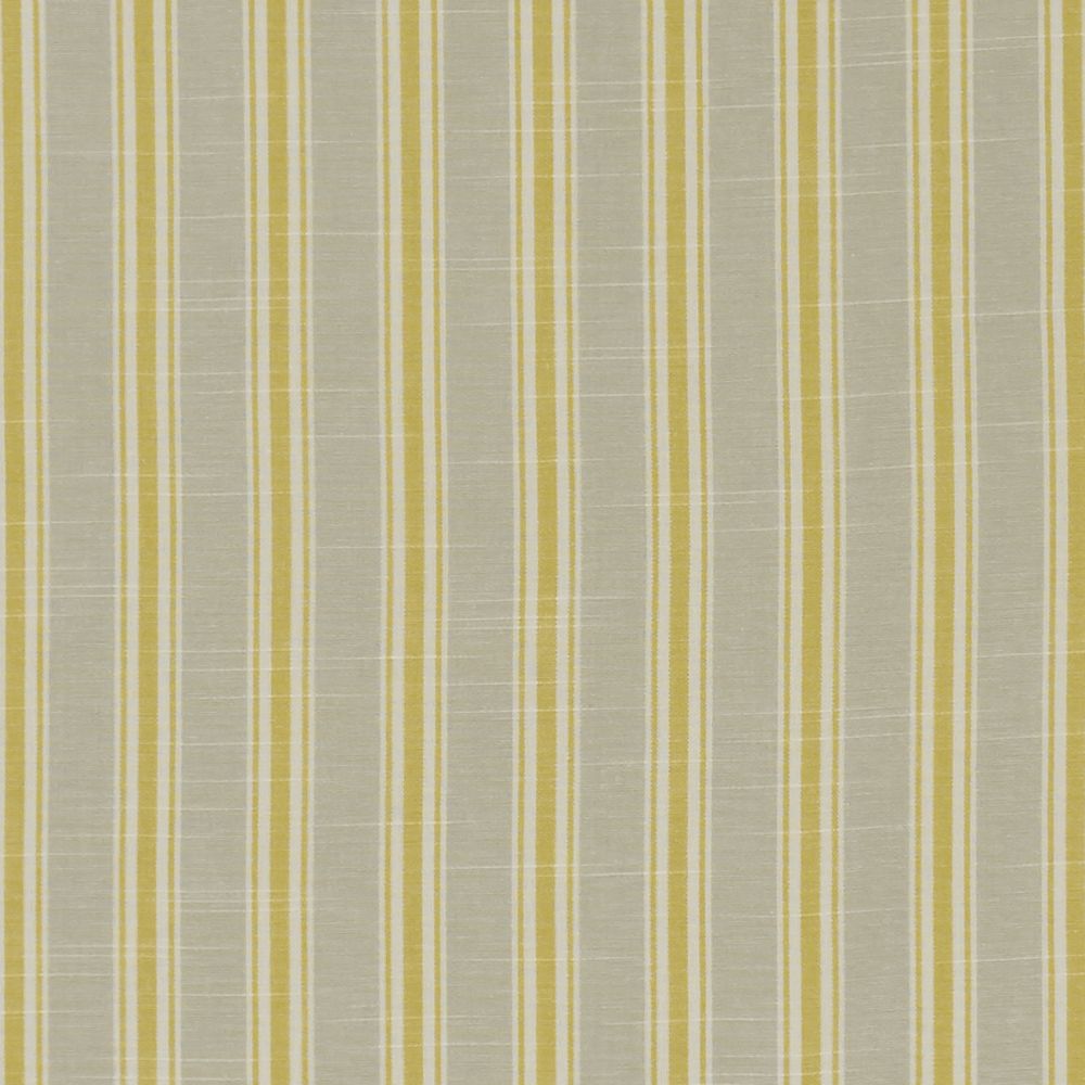 Текстиль Clarke & Clarke Bempton F1311/03