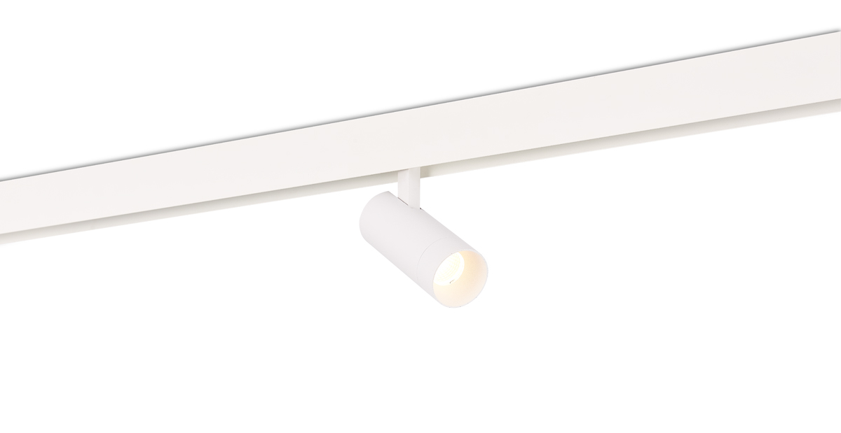 Светодиодный светильник Donolux DL20295WW10W