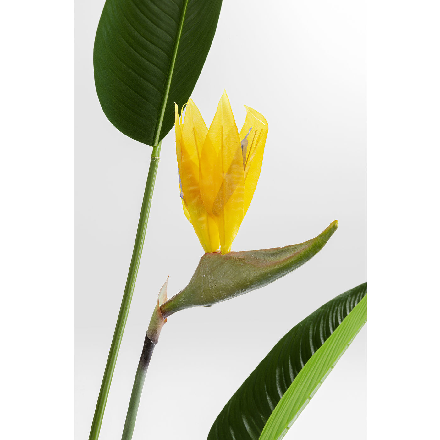 Предмет декоративный Paradise flowers 51684 KARE