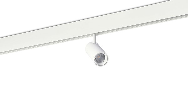 Светодиодный светильник Donolux DL20295NW10WND