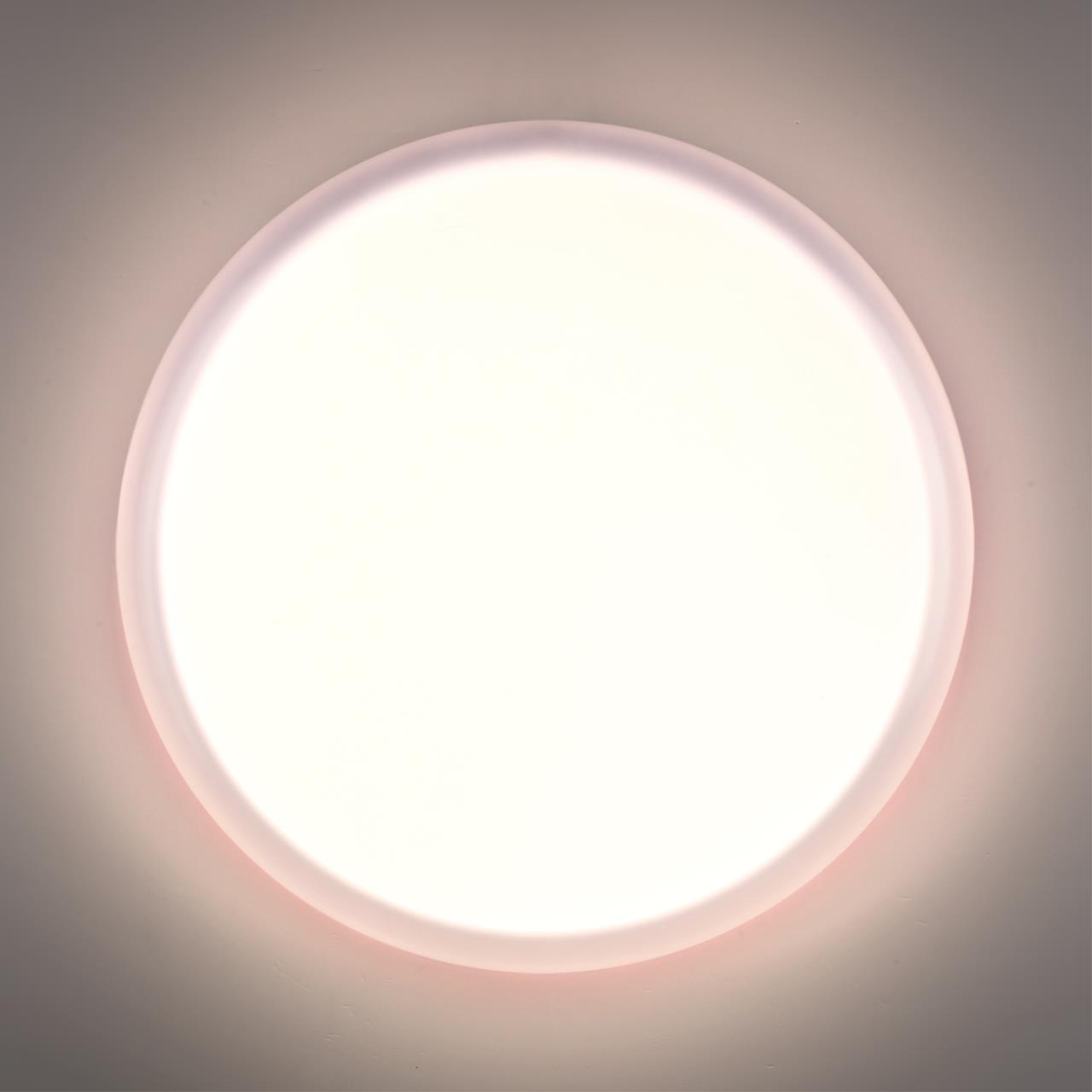 Настенно-потолочный светильник Sonex 7776/ELN