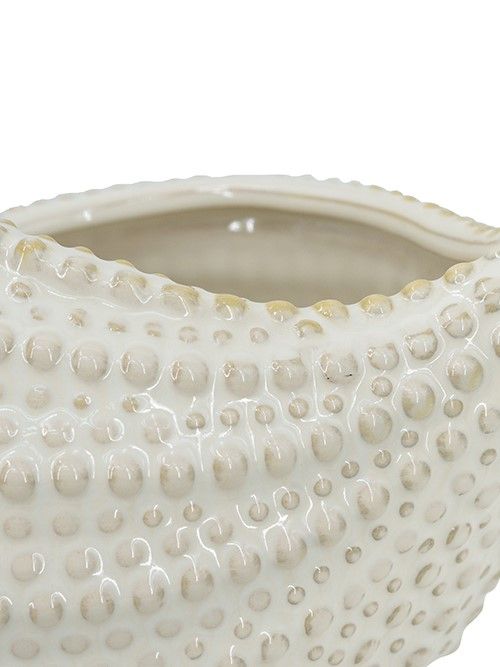 Кашпо Ракушка Glasar C6113