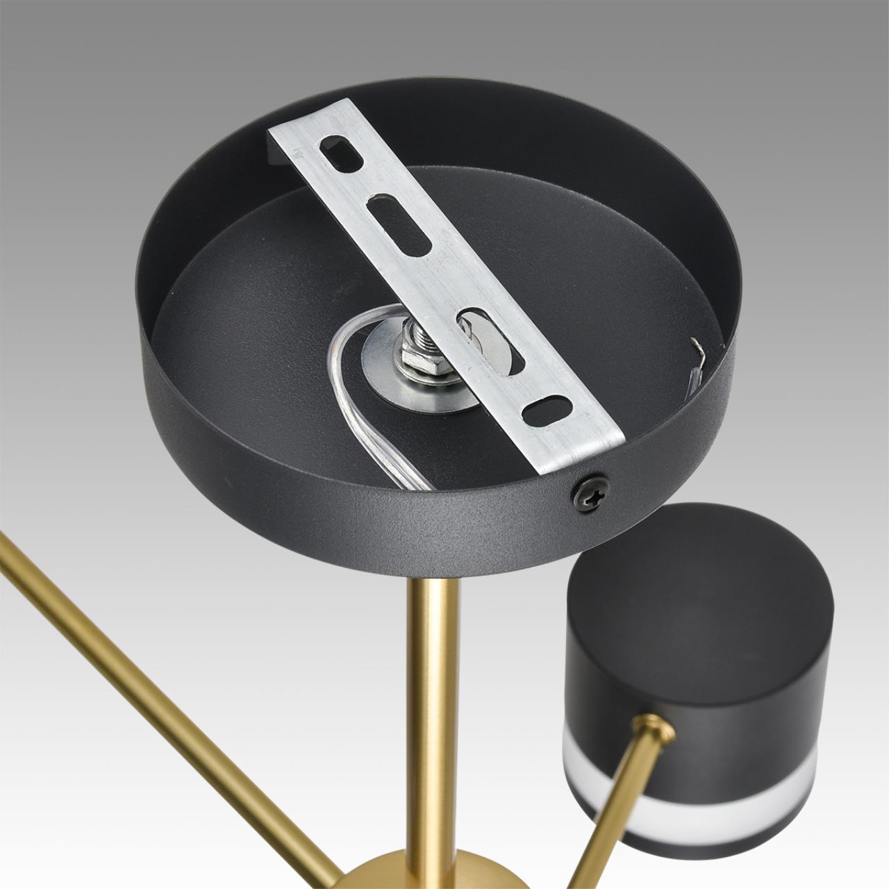 Люстра потолочная Lumion 8240/6C