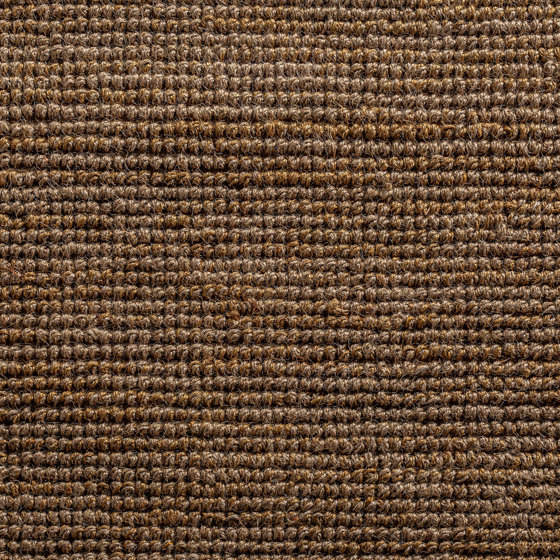 Ковер TISH 340x240 Vical