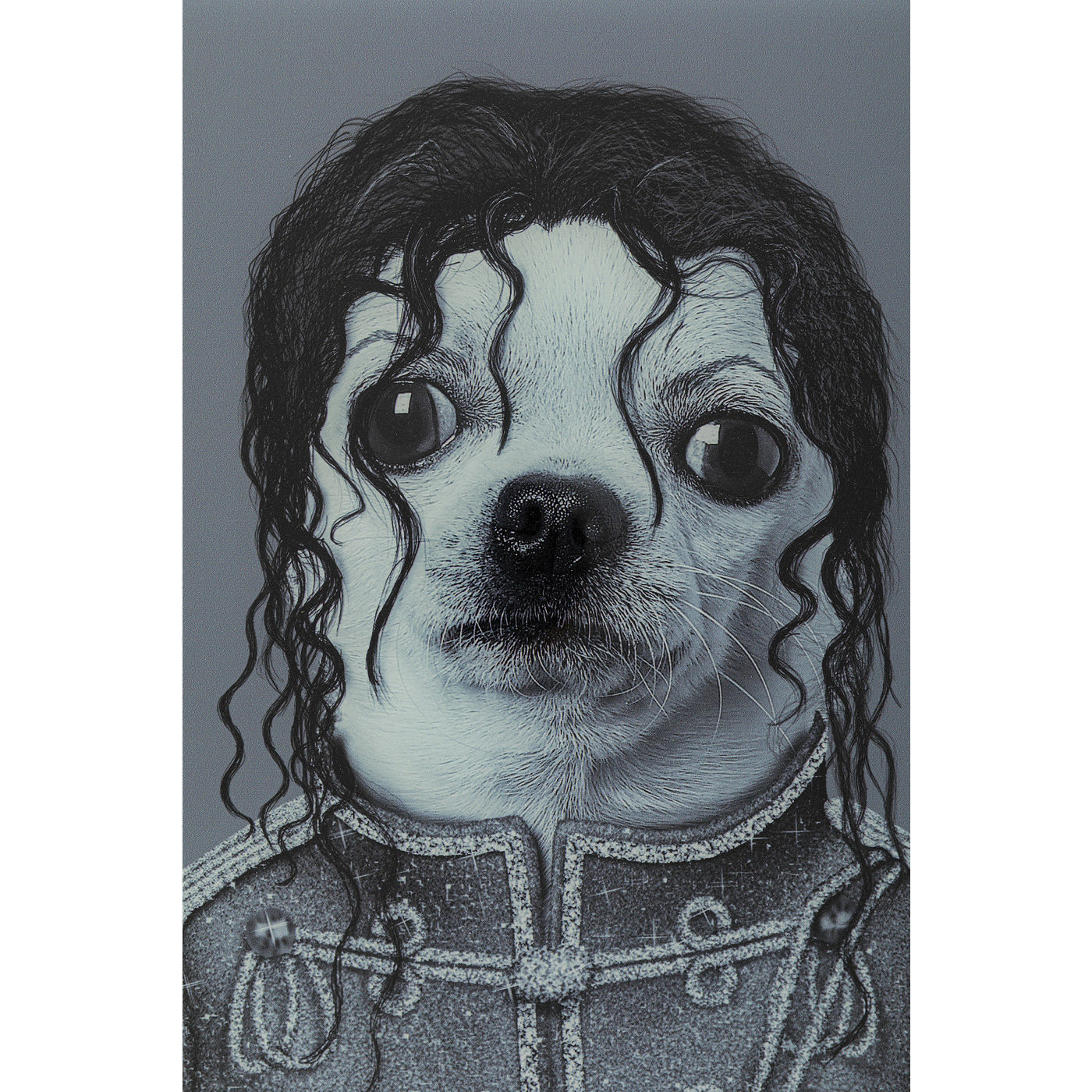 Картина в рамке Dog 51877 KARE