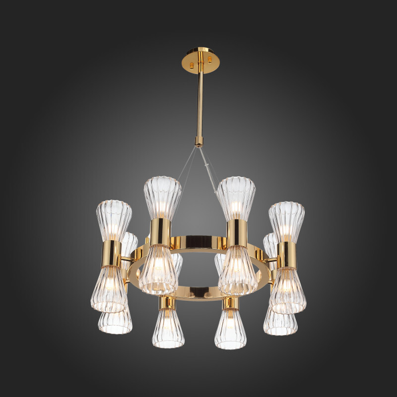 Подвесная люстра ST Luce SLD002.203.16