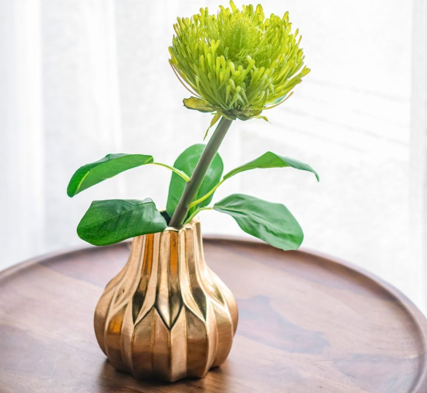 Растение декоративное Цветок Glasar 29632-GREE