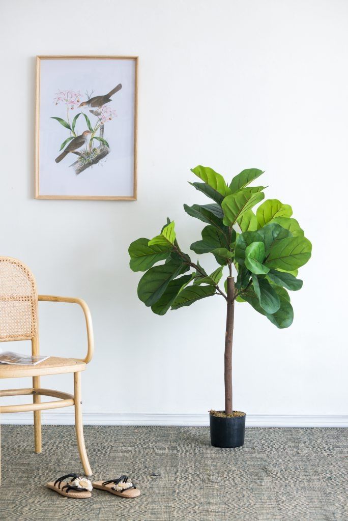 Дерево декоративное Фиговое Glasar SA11852-DS-AB