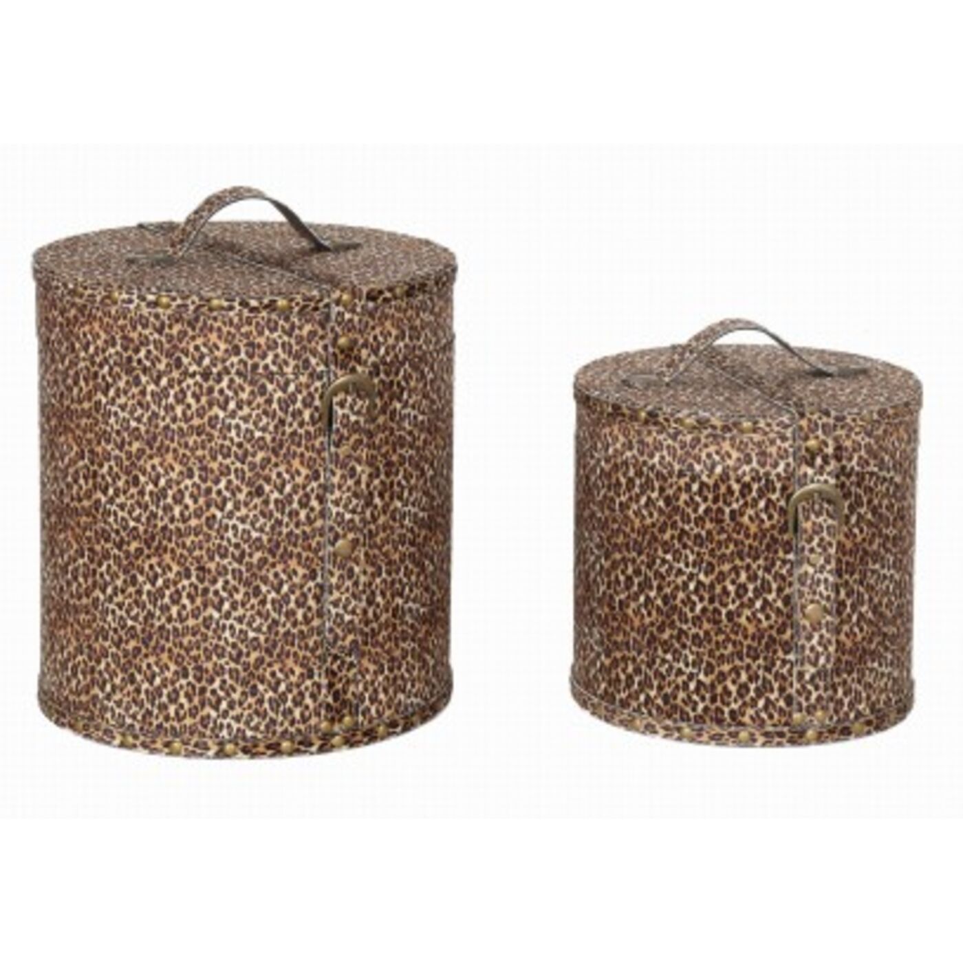 Бокс для хранения Wild Animal Leo (2/Set) KARE 58249