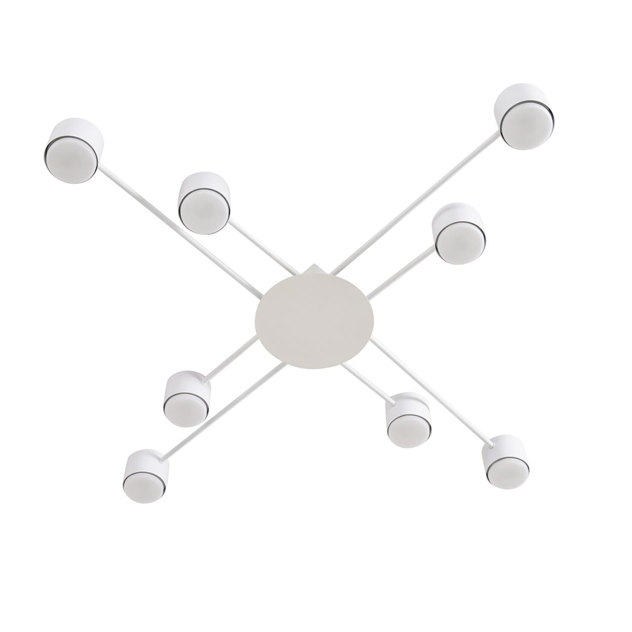 Светильник потолочный Lumion 8305/8C