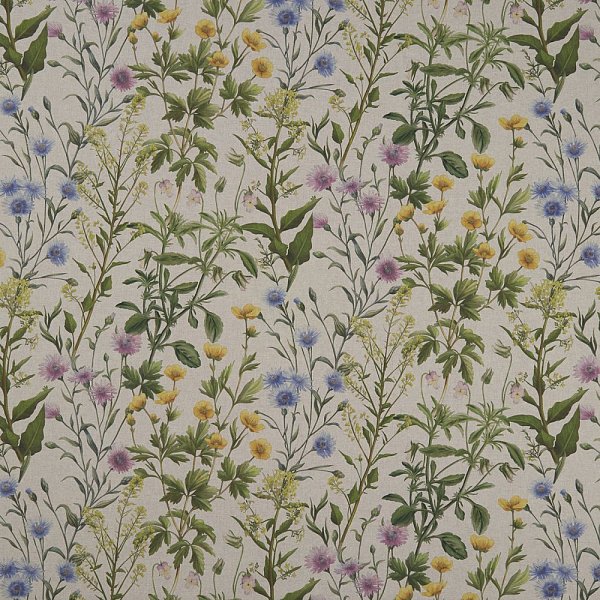Текстиль Clarke &amp; Clarke Country Garden F1146/01