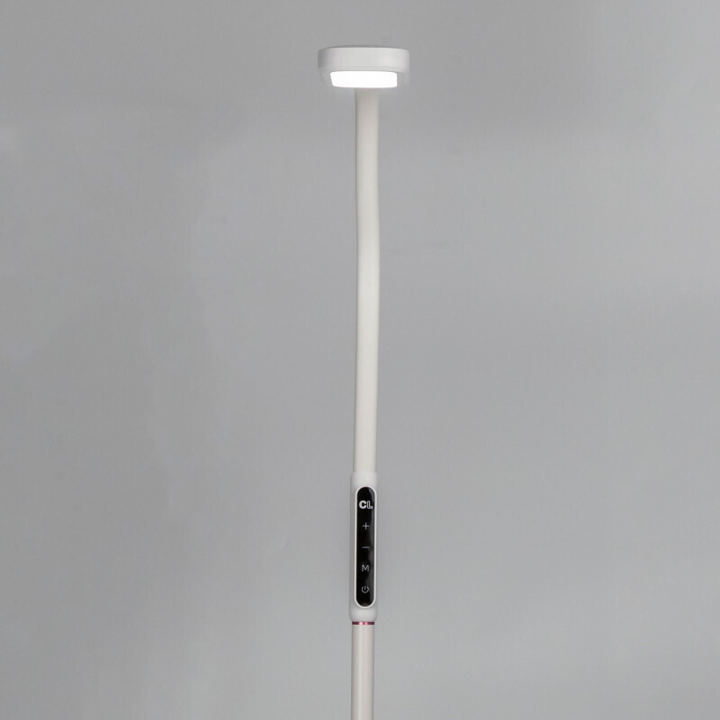 Торшер Citilux CL804020