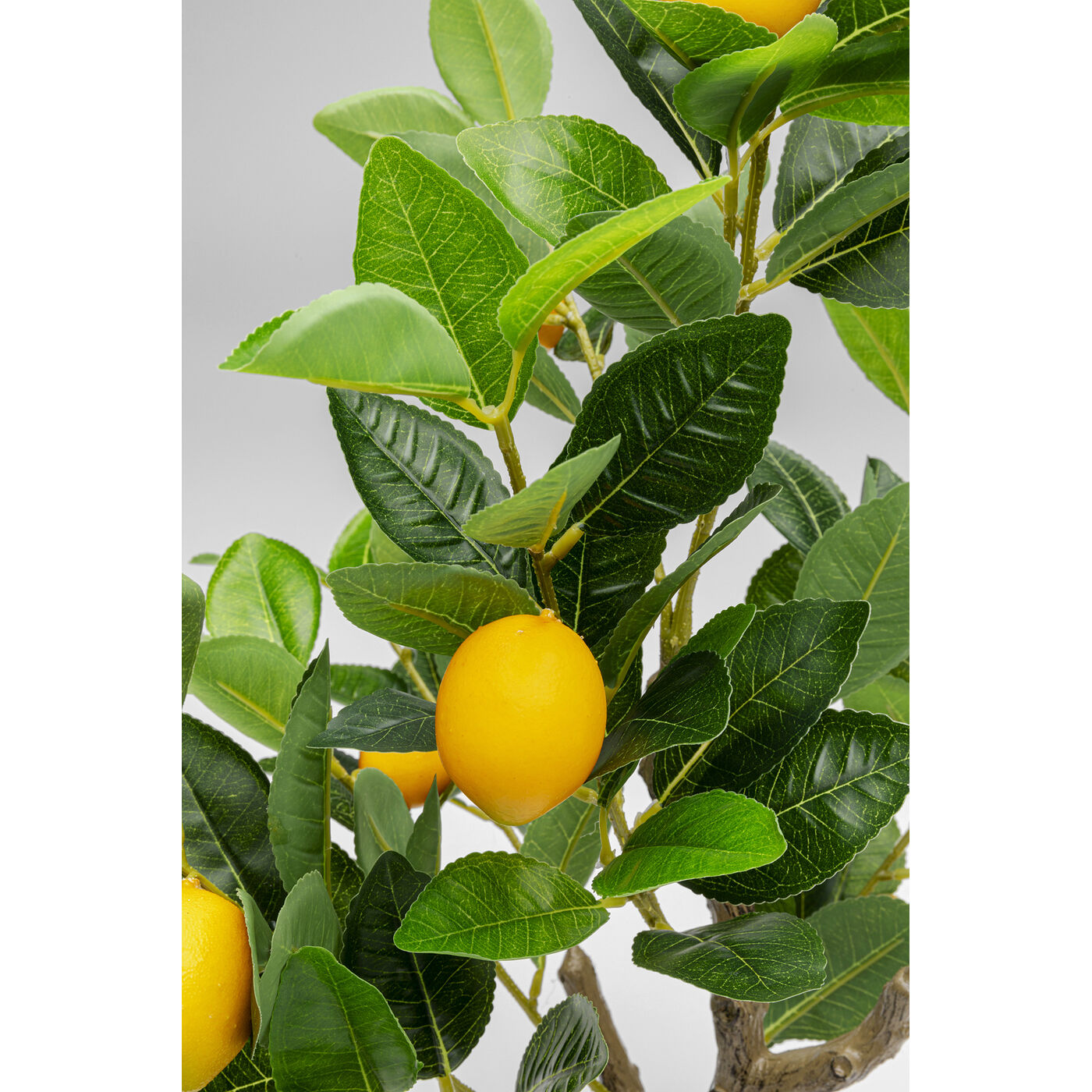 Растение декоративное Lemon Tree 60cm KARE 56764
