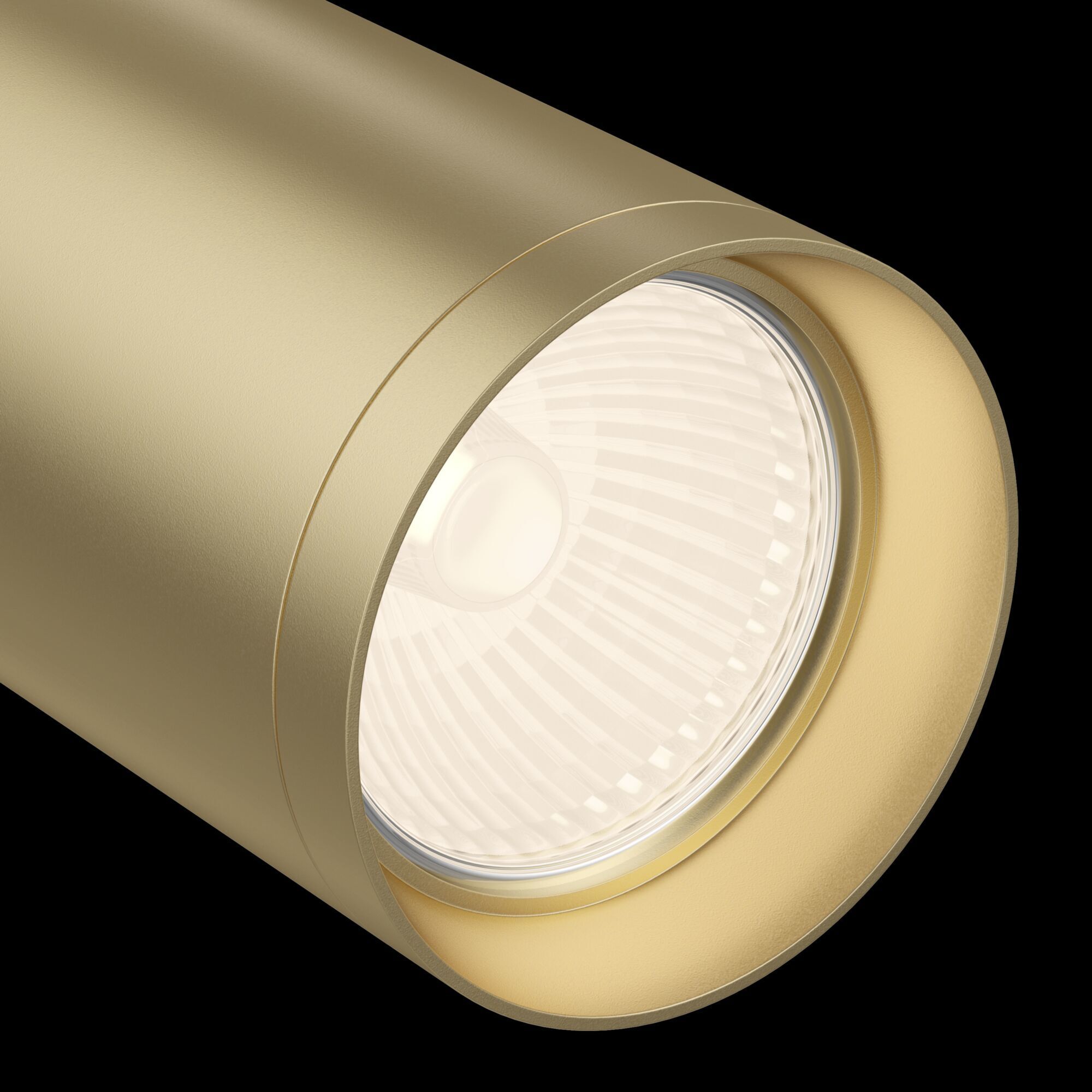 Потолочный светильник Maytoni C018CL-01MG