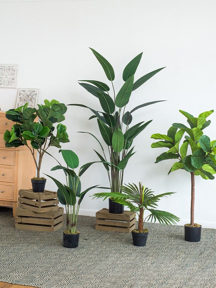 Растение декоративное Glasar SA11849-AB