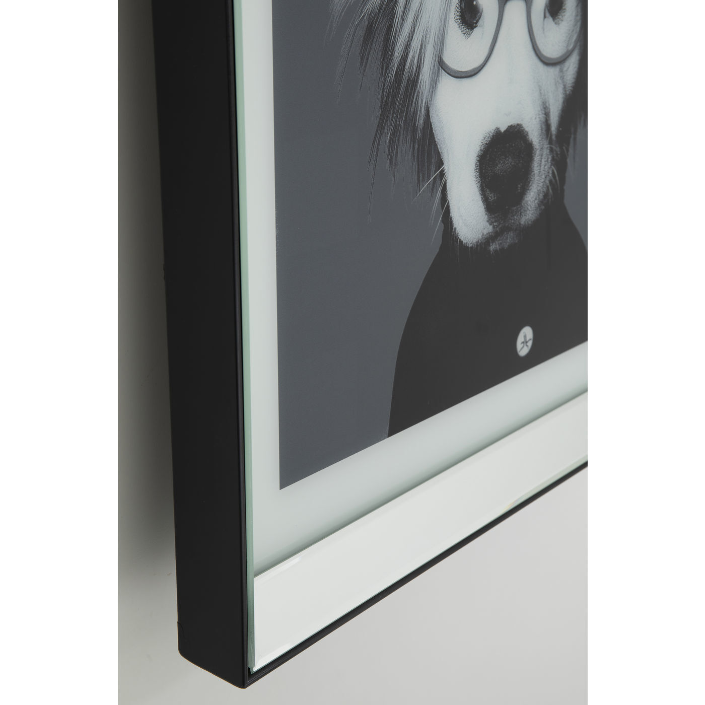 Картина в рамке Dog 51878 KARE