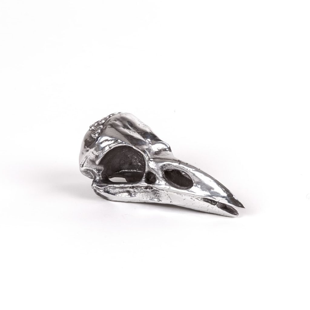 Статуэтка Seletti Wunderkammer Bird Skull 10895