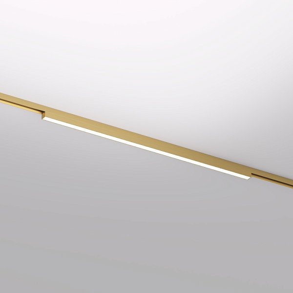 Светильник на шине Denkirs DK5752-SB