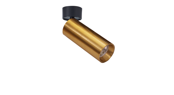 Накладной светильник Donolux DL18895R1BBrass ST