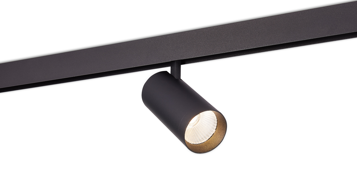 Светодиодный светильник Donolux DL20295NW30B