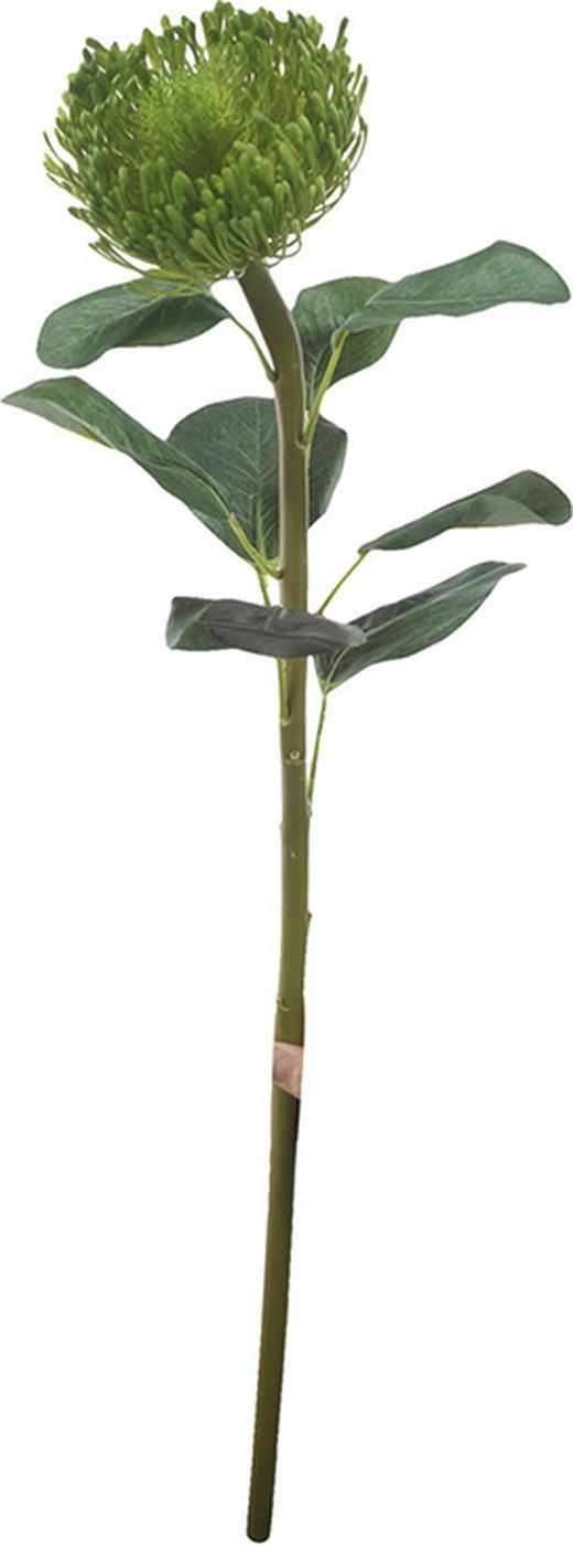 Растение декоративное Цветок Glasar 29632-GREE