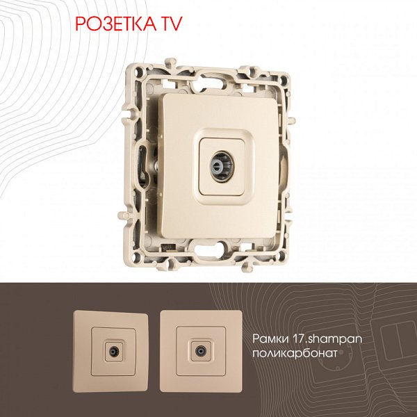 Розетка Arte Milano 217.43-1.shampan