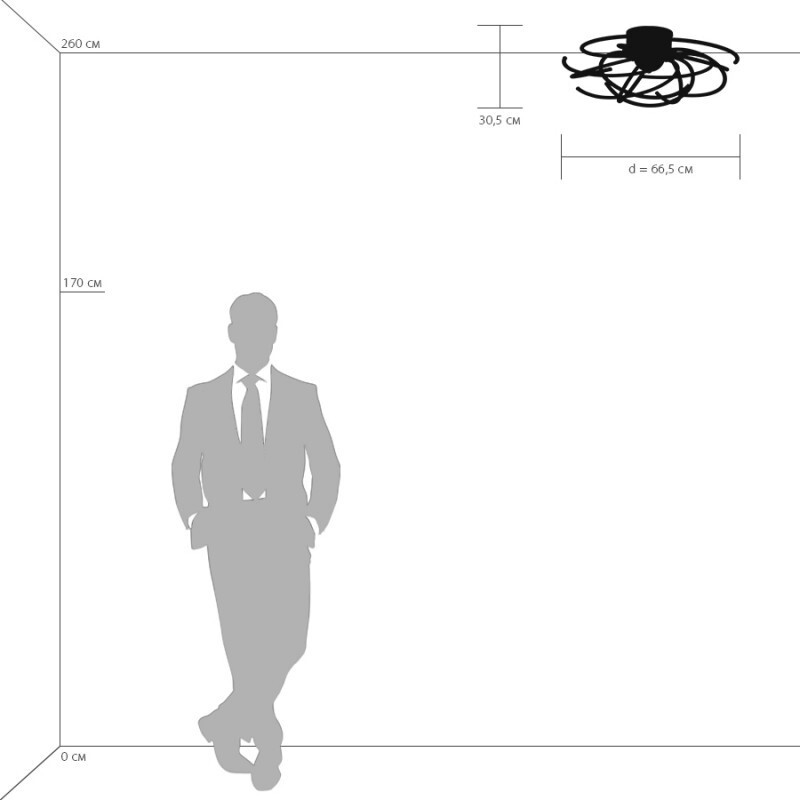 Накладная люстра Lightstar 748094