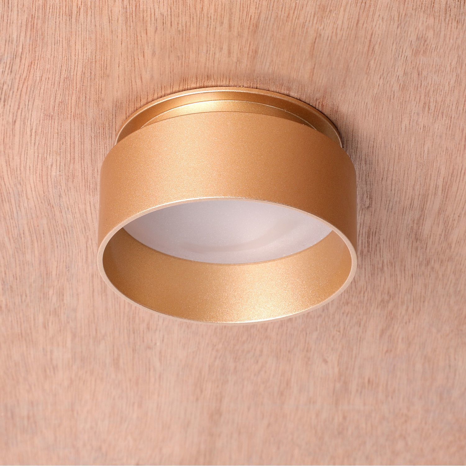 Встраиваемый светильник Favourite 2885-1C