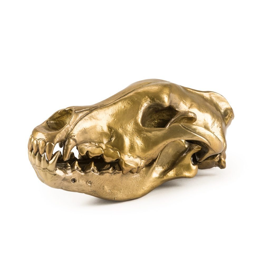 Статуэтка Seletti Wunderkrammer Wolf Skull 10892