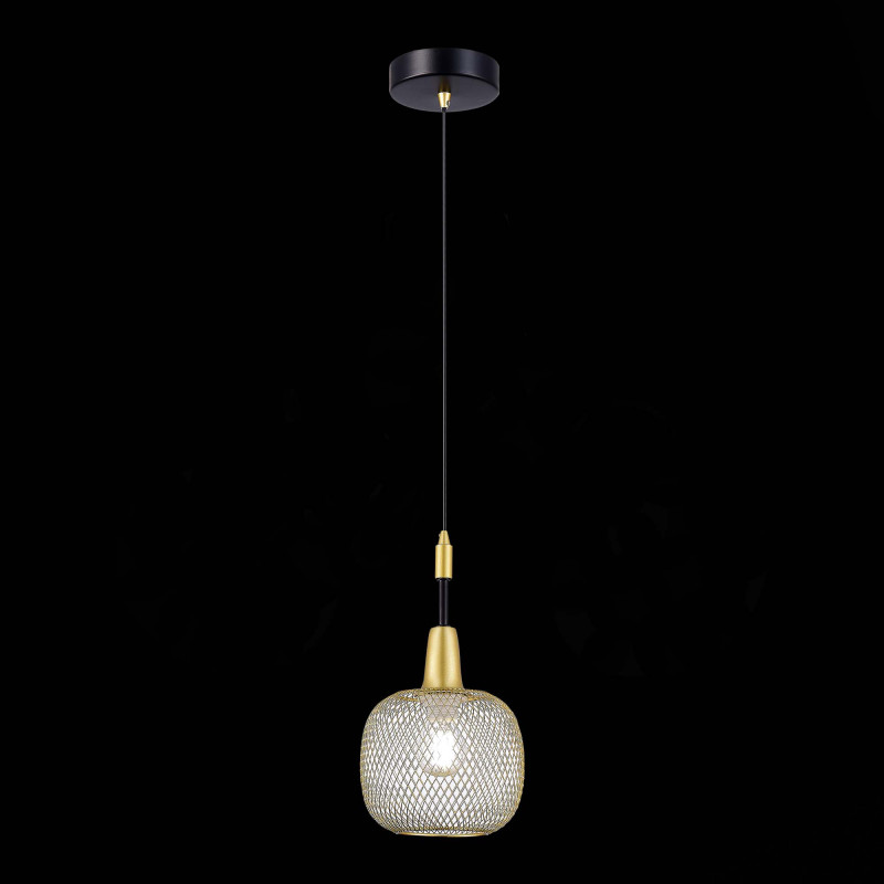 Подвесной светильник Evoluce SLE1137-403-01