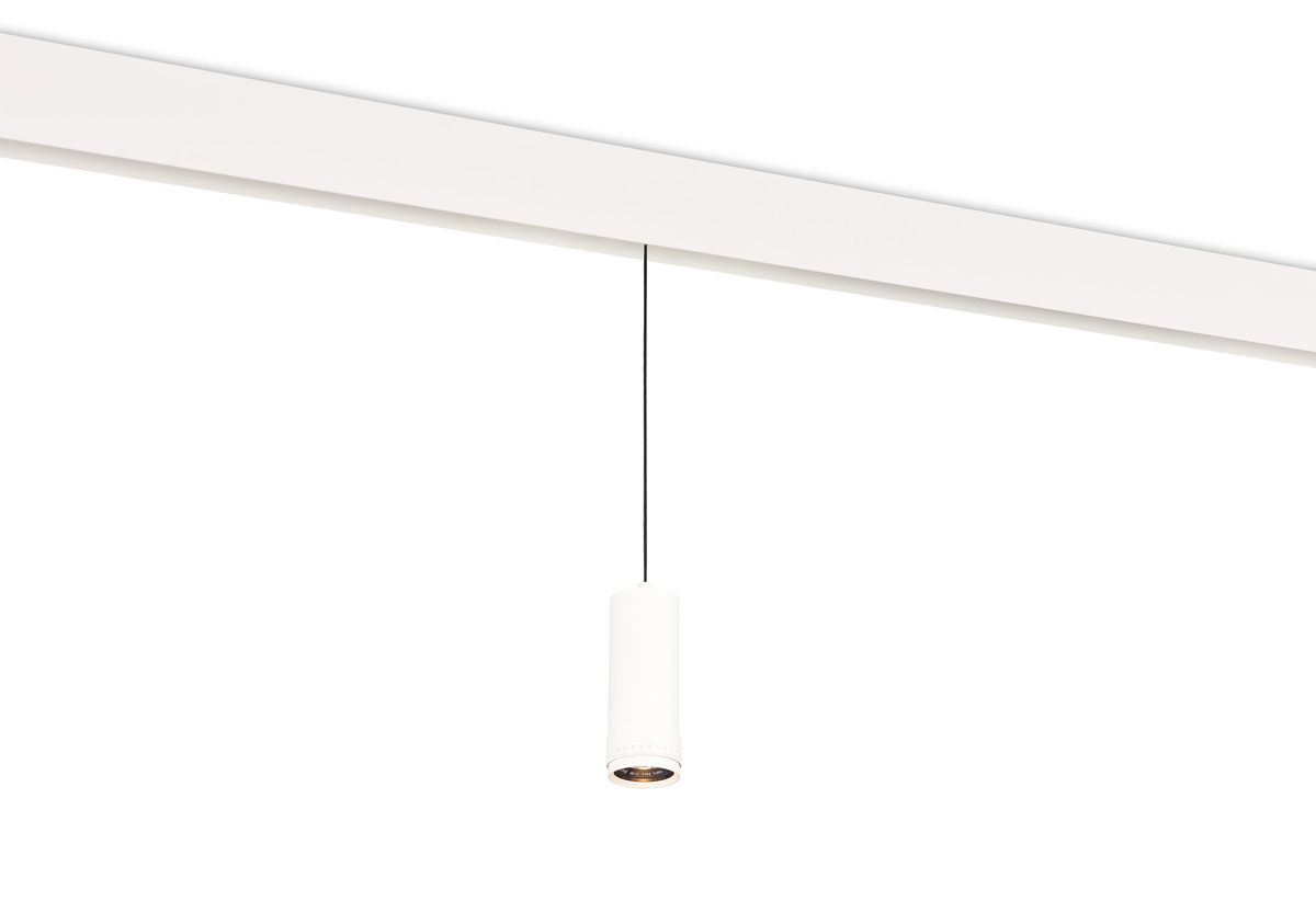 Светодиодный светильник Donolux DL20299WW10WS