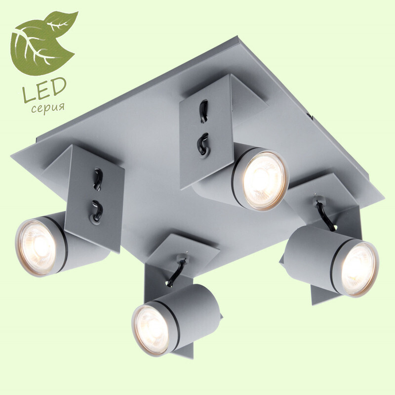 Спот Lussole LOFT GRLSP-8024