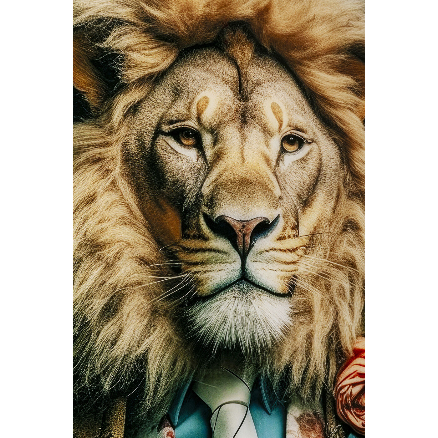 Картина стеклянная Mister Lion 150x100 см KARE 56277