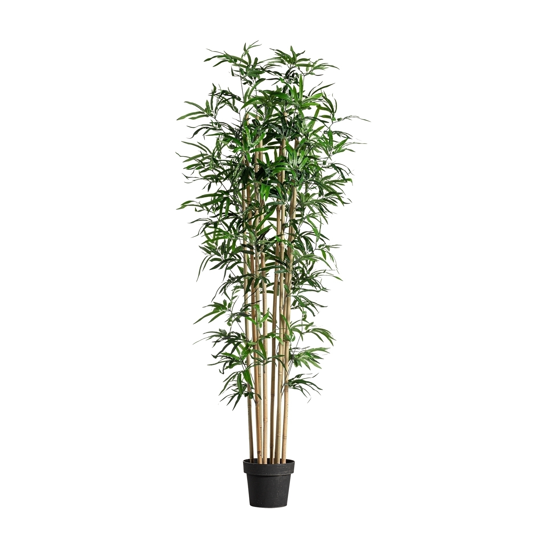 Искусственное растение BAMBU Vical