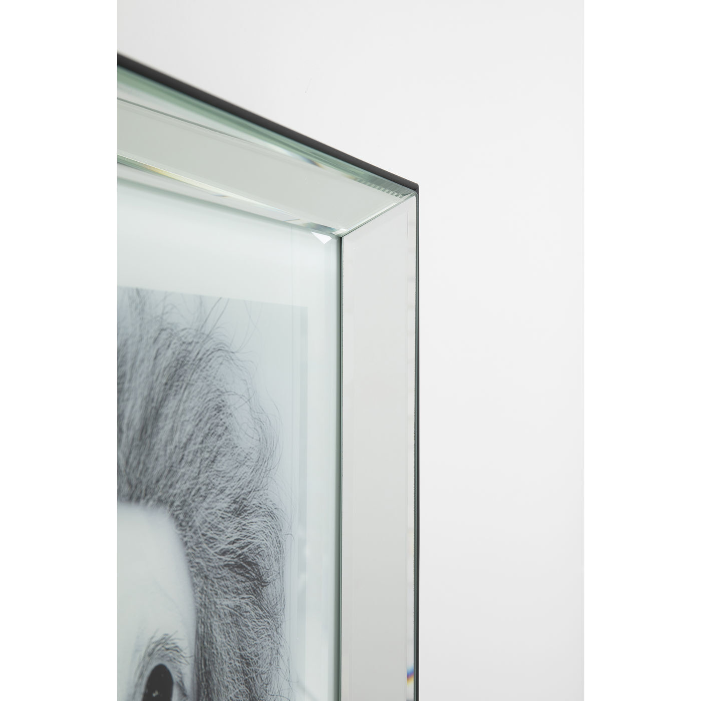 Картина в рамке Dog 51876 KARE