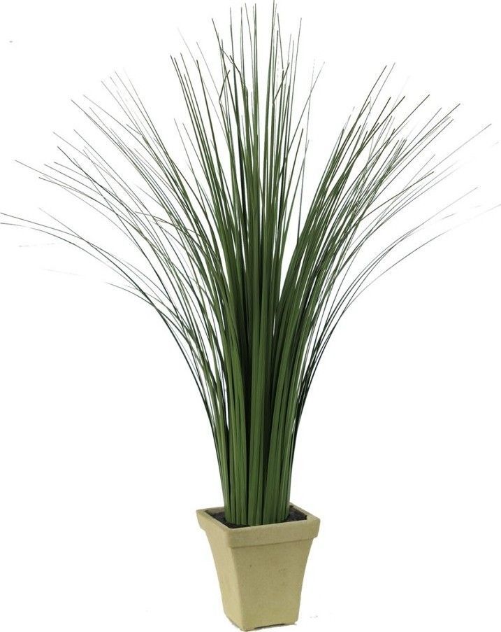 Растение декоративное Трава Glasar 29091