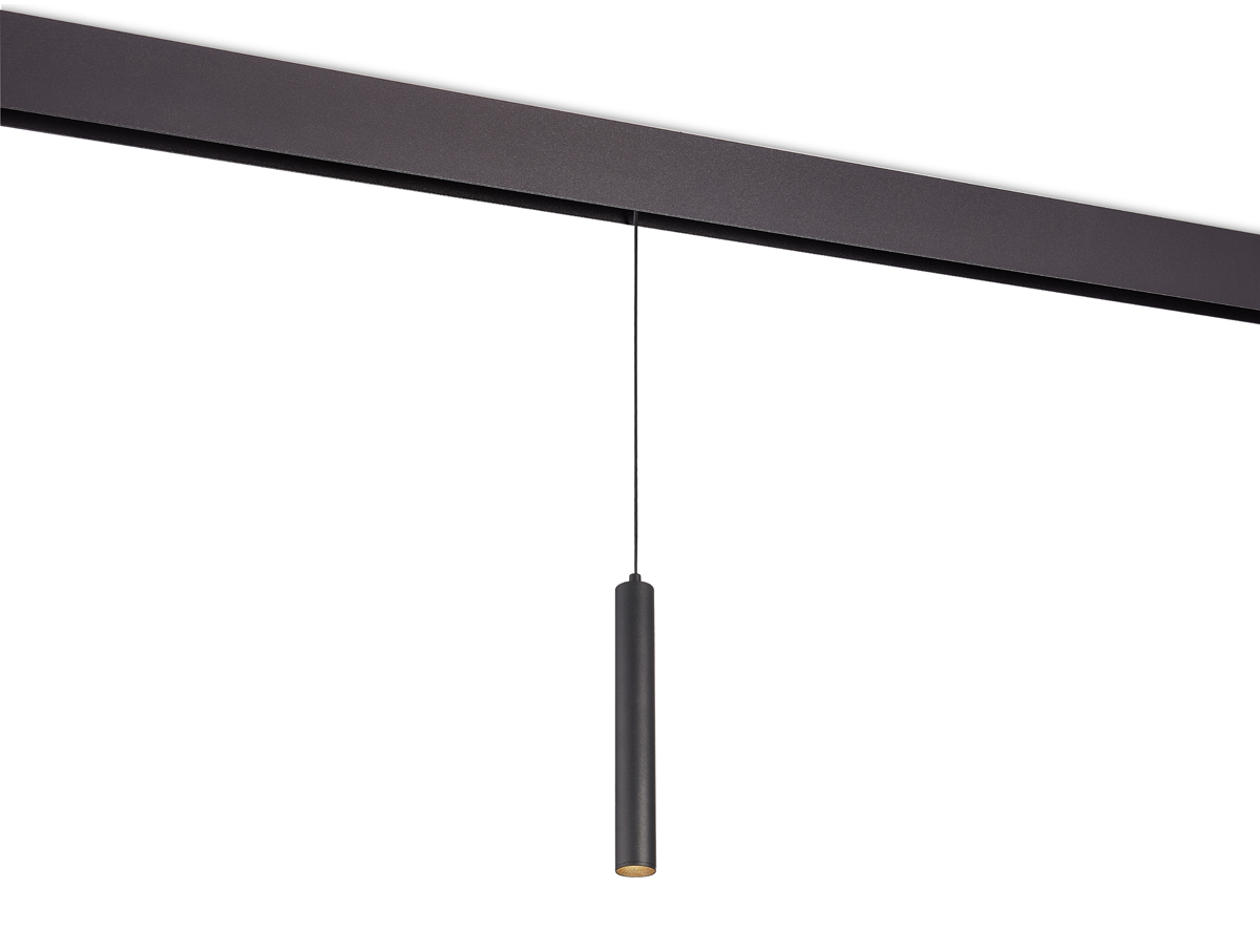 Светодиодный светильник Donolux DL20296WW10BS