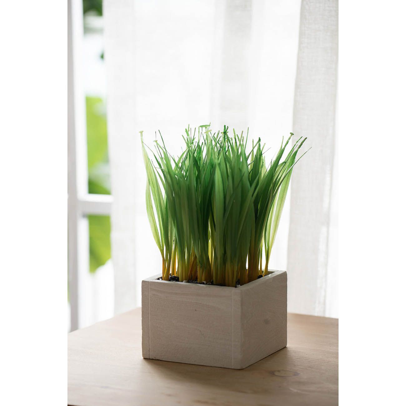 Растение декоративное Трава Glasar 29258