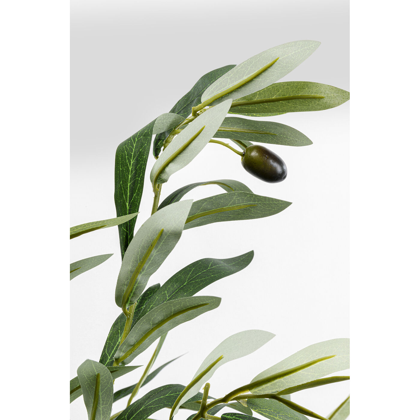 Растение декоративное Olive Tree 150 см KARE 55924