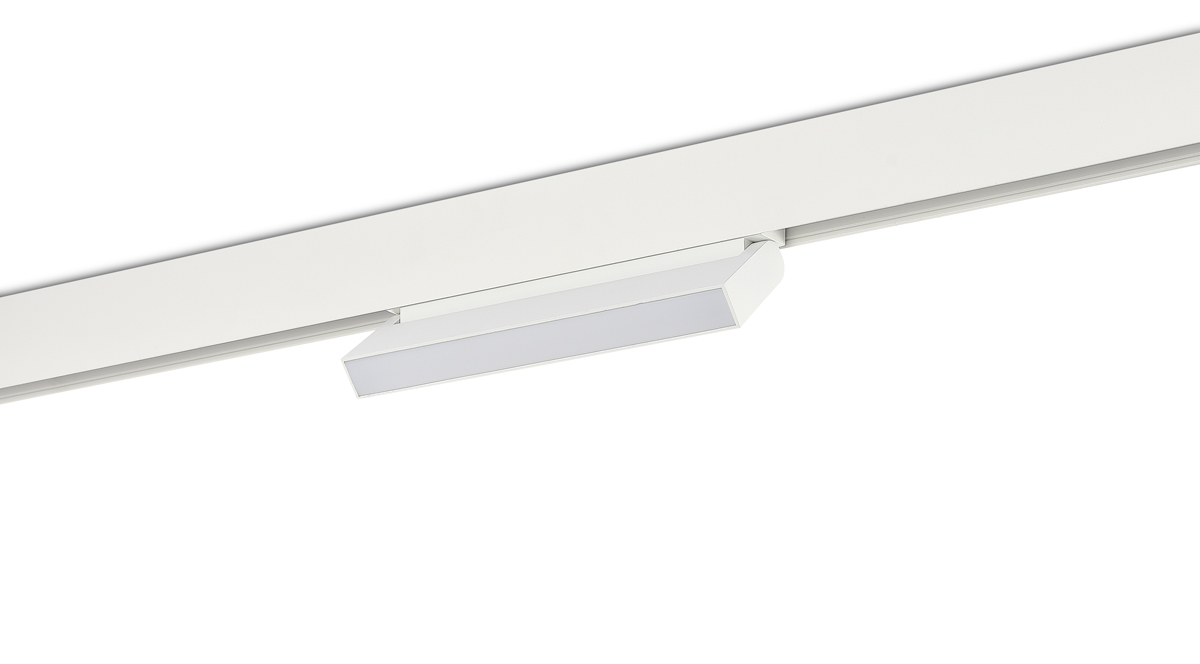 Светодиодный светильник Donolux DL20294WW12WND