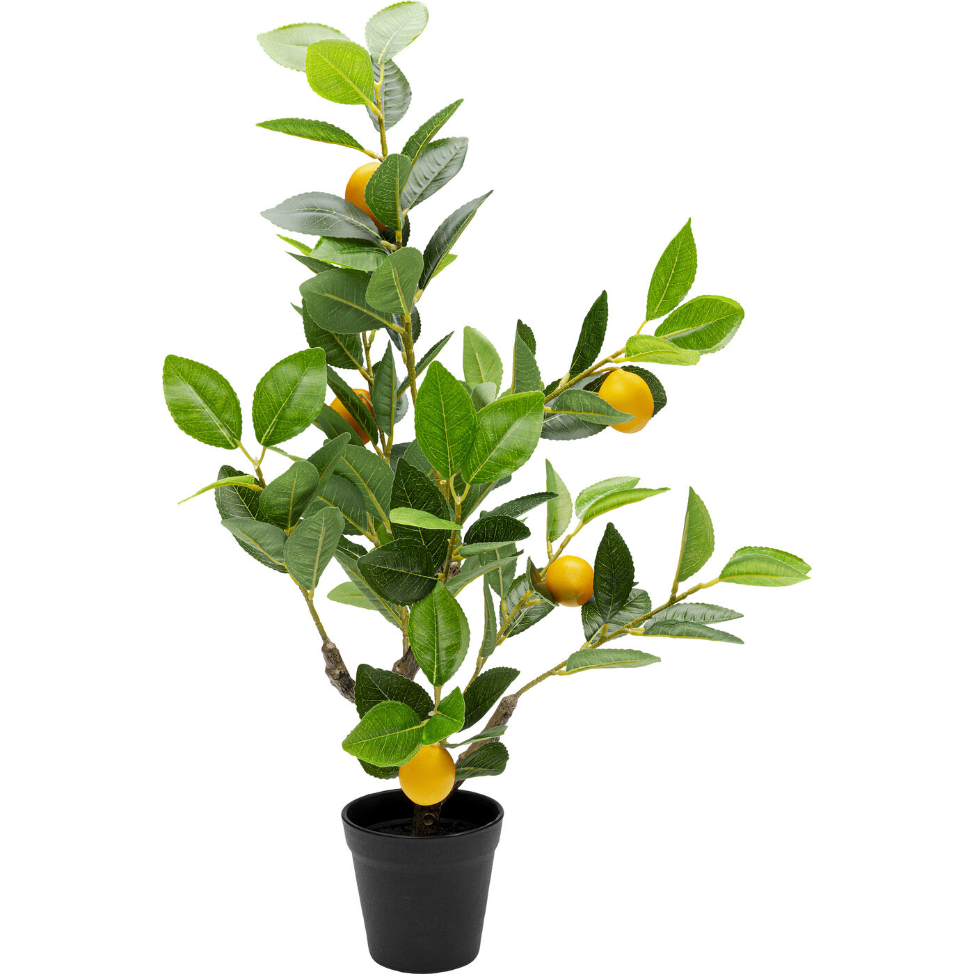 Растение декоративное Lemon Tree 60cm KARE 56764