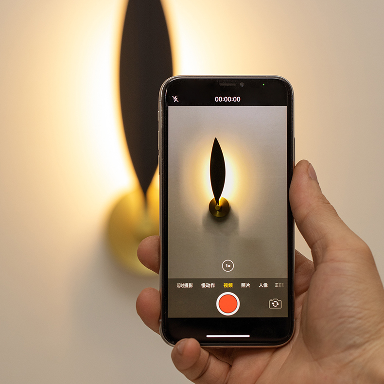 Настенный светильник IVY Устойчивый by ImperiumLoft