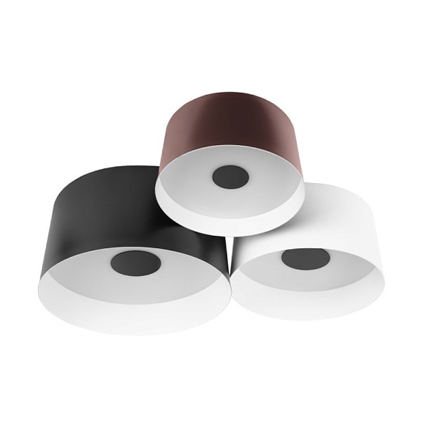 Накладной светильник LOFT IT 10360/3