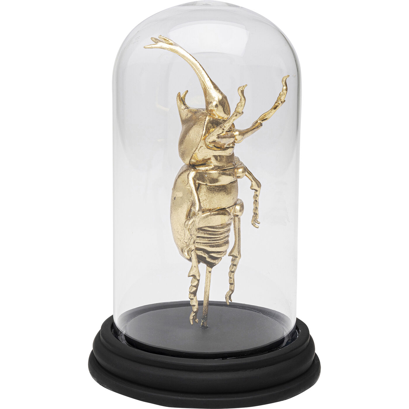 Объект декоративный Bell Jar Stag Beetle 20cm KARE 57719